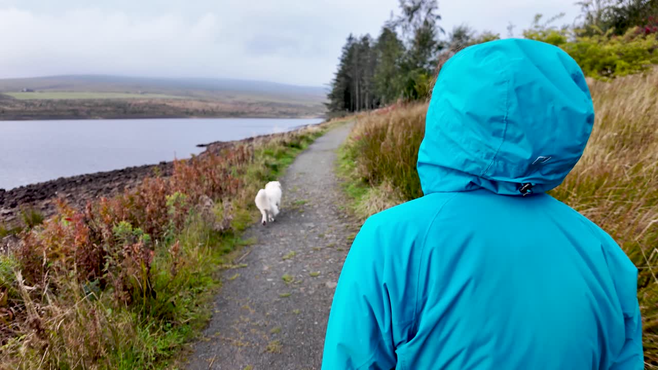 Person in blue rain jacket walking white dog beside Burnhope Reservoir