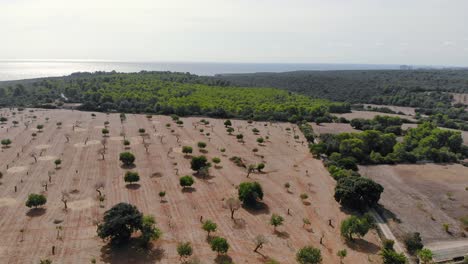 Drone-Volando-Sobre-La-Interminable-Tierra-Desierta-Y-Seca-Con-Poca-Vegetación-Cultivada-Sobre-Ella