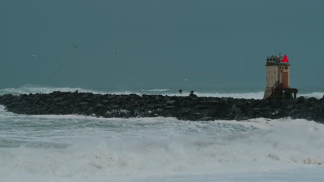 Gaviotas-Volando-Alrededor-De-Un-Embarcadero-Con-Una-Sirena-De-Niebla-En-La-Costa-De-Oregon