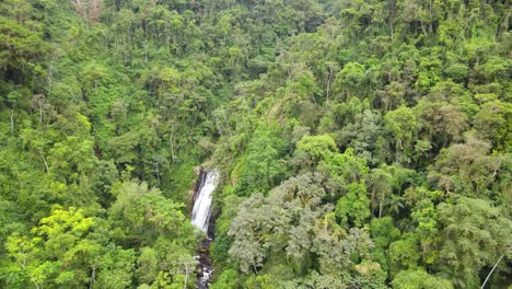 Vista-Aérea-De-Una-Pequeña-Cascada-Escondida-En-La-Jungla-En-Brasil