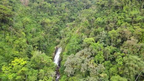 vista aérea de una pequeña cascada escondida en la jungla de brasil