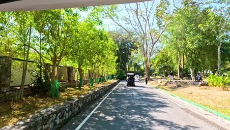 A leisurely drive through lush greenery at Khao Kheow Open Zoo, showcasing vibrant nature and visitor interactions in Chonburi, Thailand