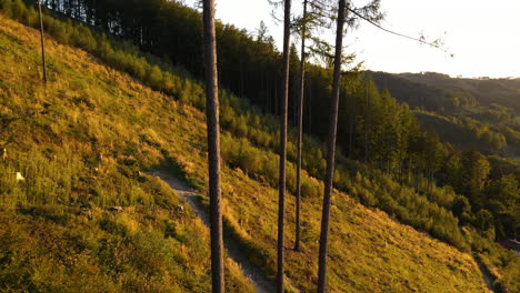 Fly-next-to-tall-trees-in-the-woods-overlooking-the-hills-and-surrounding-forests-during-a-sunny-afternoon