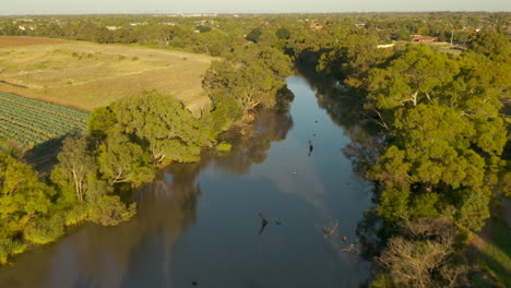 aerial tracking above natural river between agricultural land and suburban landscape