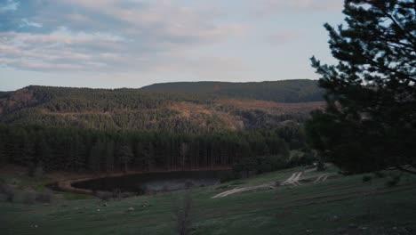 Schwarzer-See-Und-Der-Wald