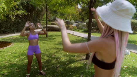 woman playing volleyball in the park
