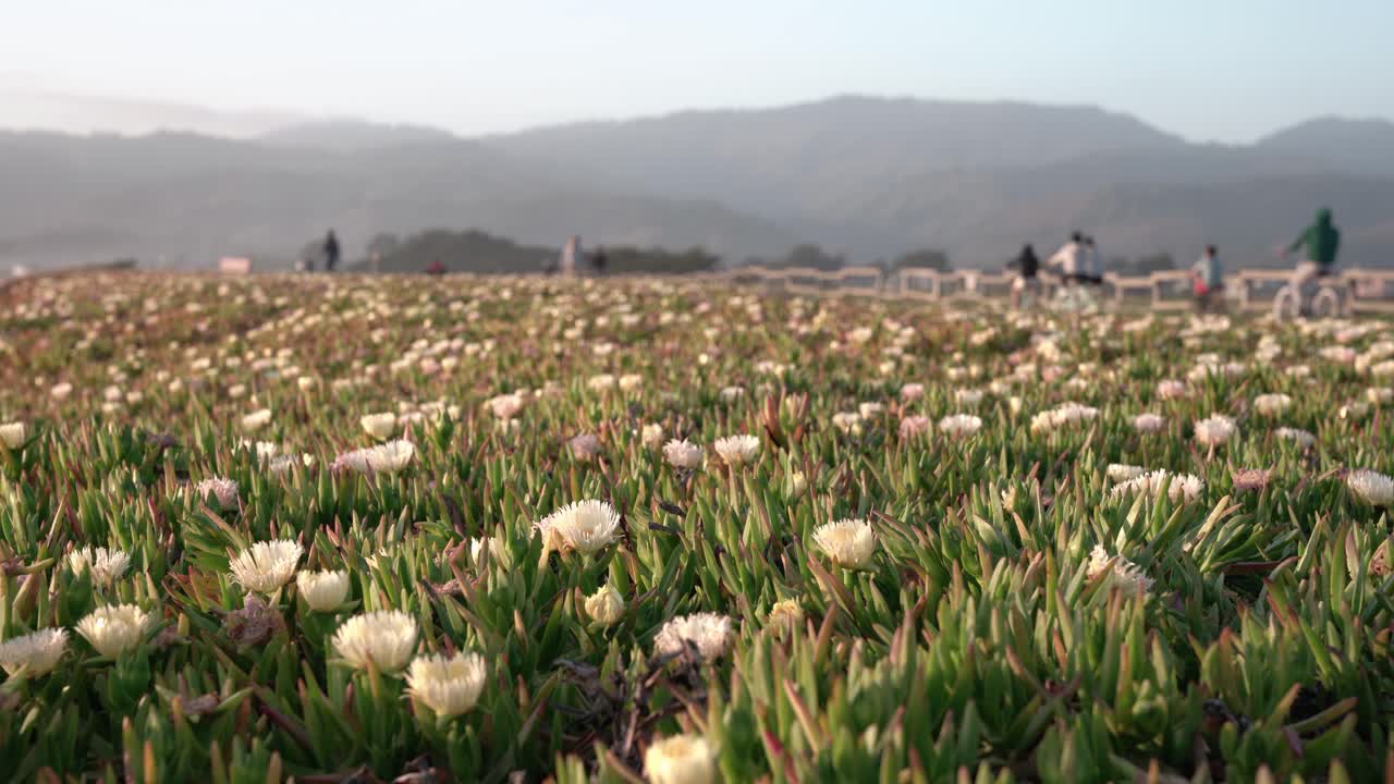 경치 좋은 식물원과 배경에서 걷고 자전거를 타는 눈에 띄지 않는 사람들