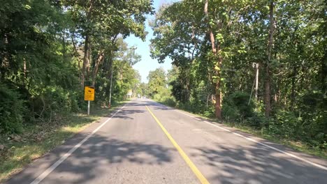 a journey along a tranquil forest-lined road