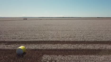 aerial drone shot flying over a cotton field, country back road in the distance