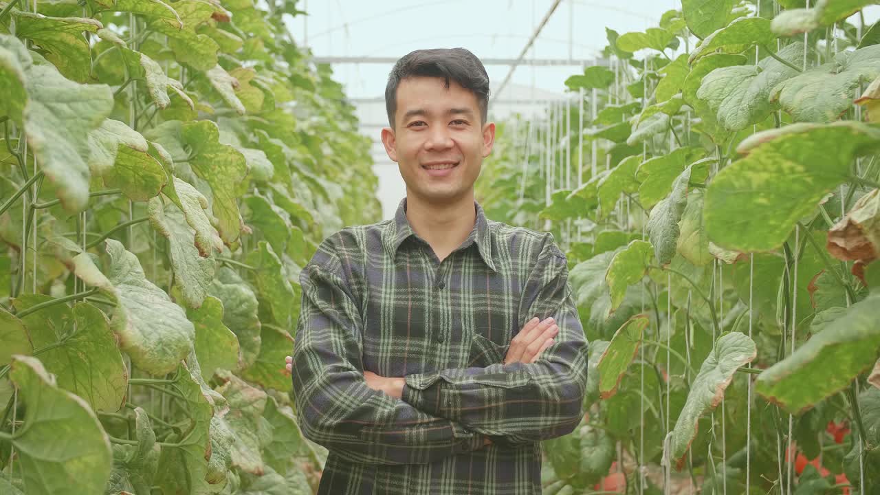 Smiling Asian Farmer Standing In Green House Of Melon Farm With Arms Crossed
