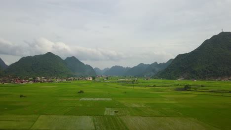 lush green valley in bac son, captured with serene and tranquil mood