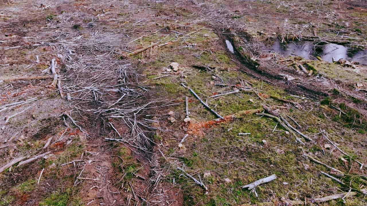 Latvian landscape shows forest clearing scars with scattered debris and soil