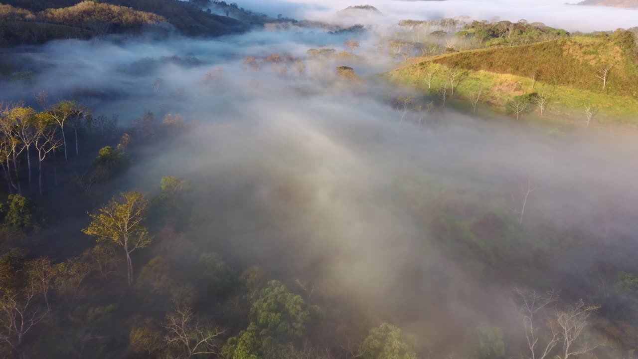 Aerial Drone Flight Over Early Morning Fog Haze Above Forest, 4K