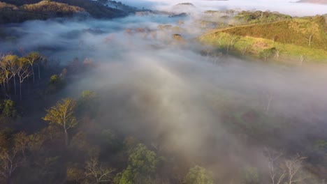 Aerial-Drone-Flight-Over-Early-Morning-Fog-Haze-Above-Forest,-4K