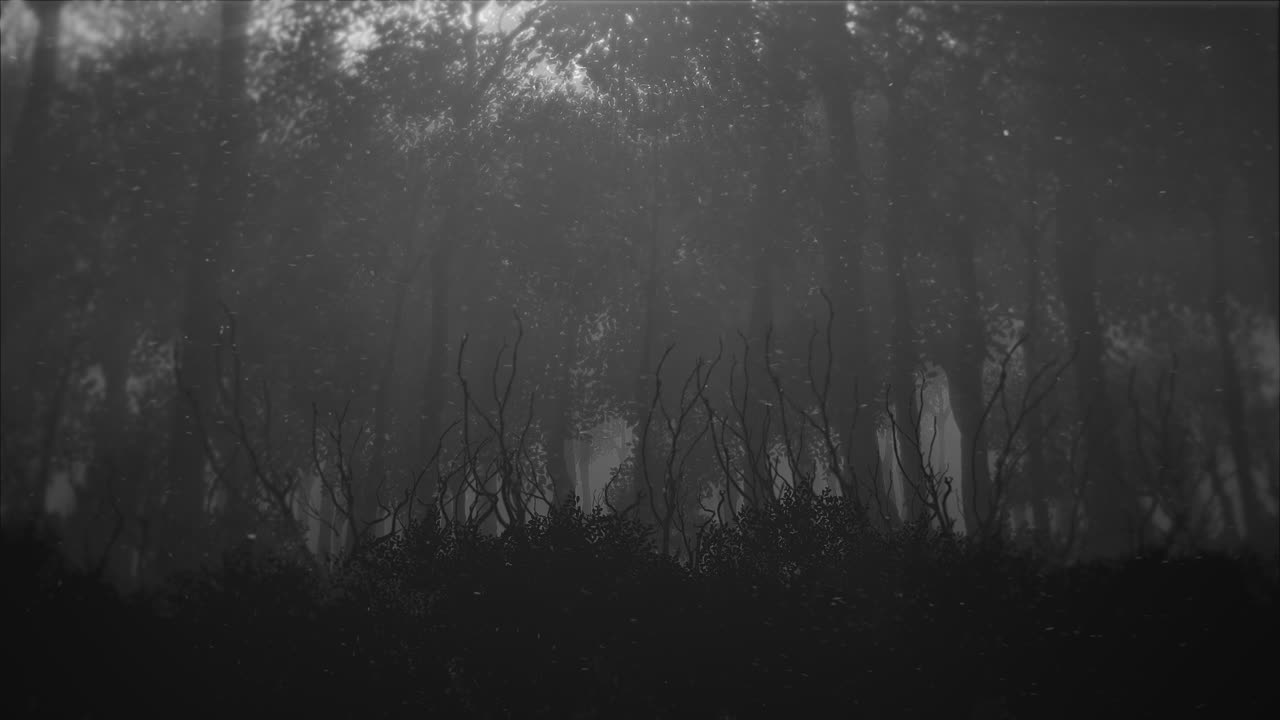 Mystical horror background with dark blue forest and fog