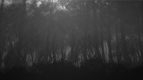 Mystical-horror-background-with-dark-blue-forest-and-fog