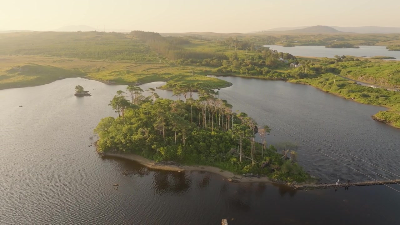 Tall pines on a small green island sit beside a narrow causeway in a calm Irish inlet under warm golden light.