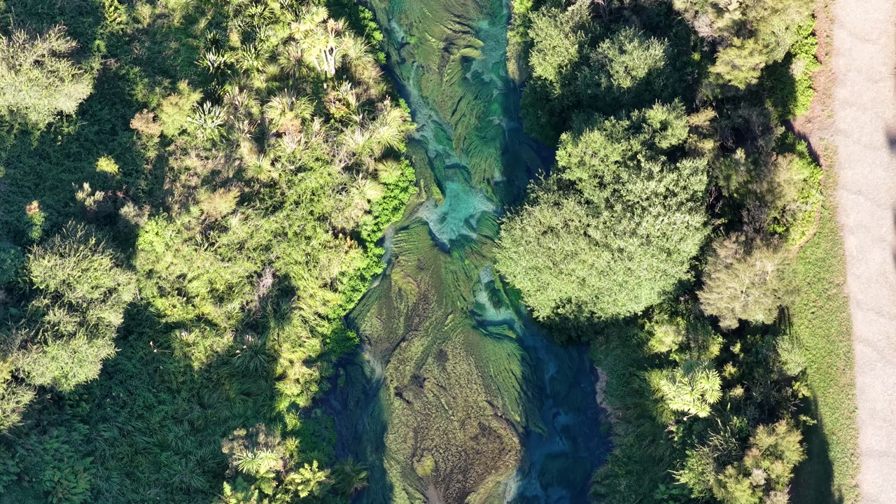 Aerial view. Natural pond with clear water and plants at Te Waihou Walkway.
Sunny peaceful environment in New Zealand.