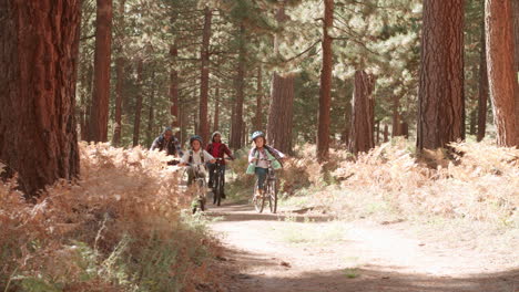 Großeltern-Radeln-Mit-Enkelkindern-Im-Wald