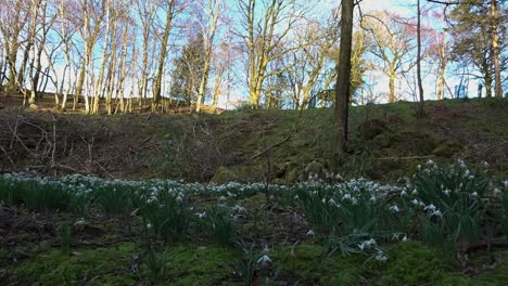 Hermosas-Escenas-Del-Campo-Y-El-Río-Lancashire