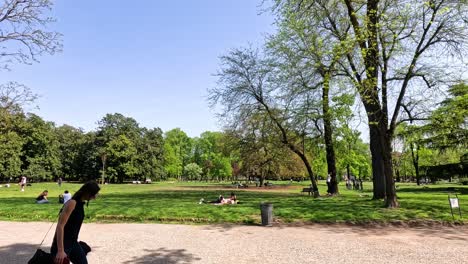 person walking in a scenic park