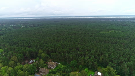 bosque masivo al lado del área suburbana