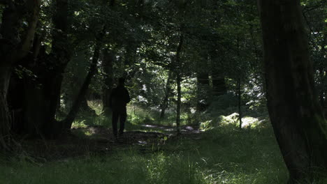 Silhouette-Eines-Erwachsenen-Mannes,-Der-Einen-Schattigen-Pfad-Im-Wald-Entlang-Geht