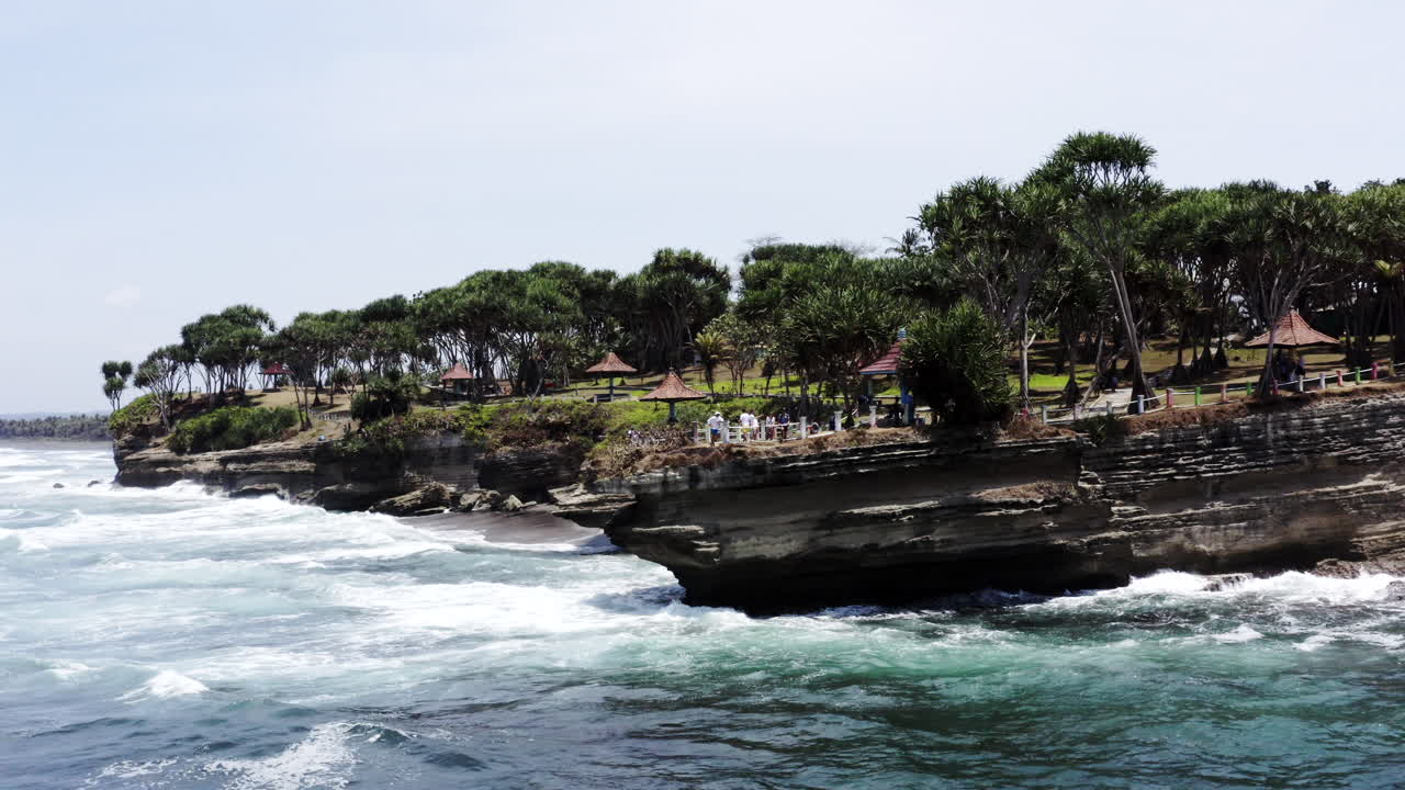 Coastal Park with Ocean Waves and Tropical Trees
