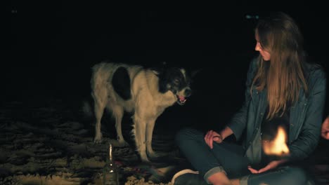 Attractive caucasian woman feeding cute dog sitting by the bonfire late at night. Closeup of kind woman&#039;s hand with piece of sausage and face of playful dog