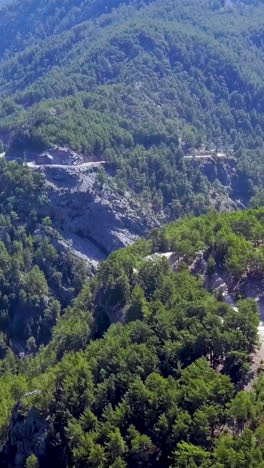 mountainous forest landscape with road