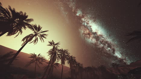 Night-scene-with-silhouette-hut-and-coconut-tree-with-Milky-Way-Galaxy-in-sky