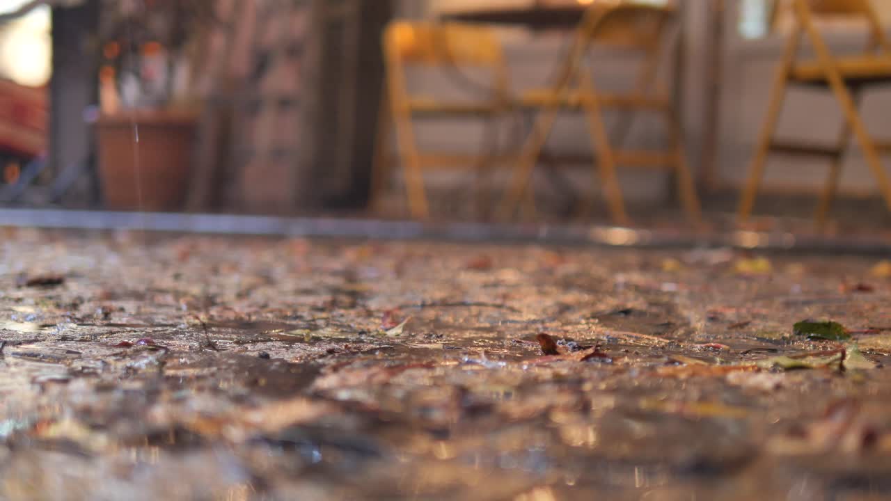 잎이 떨어지는 비가 오는 마당