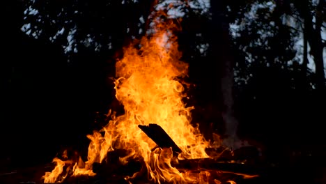 burnt wood panels. a pile of wood burned on fire.