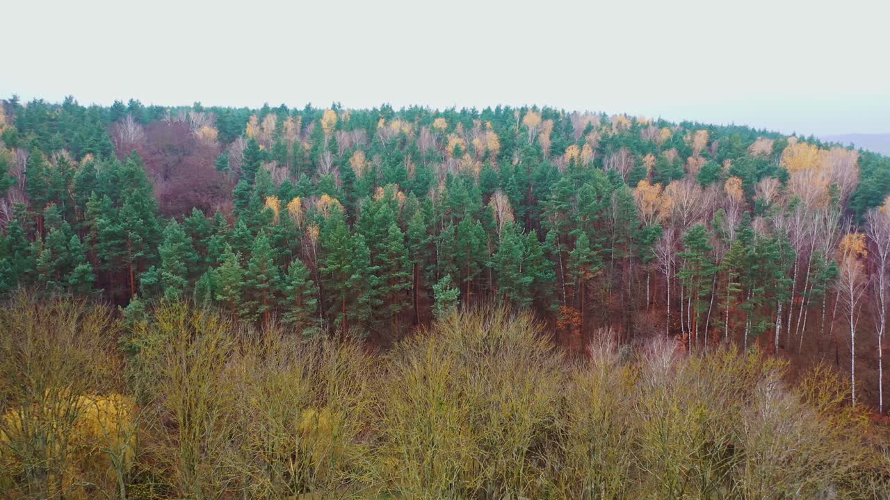 Beautiful natural scenery. Autumn forest aerial drone view