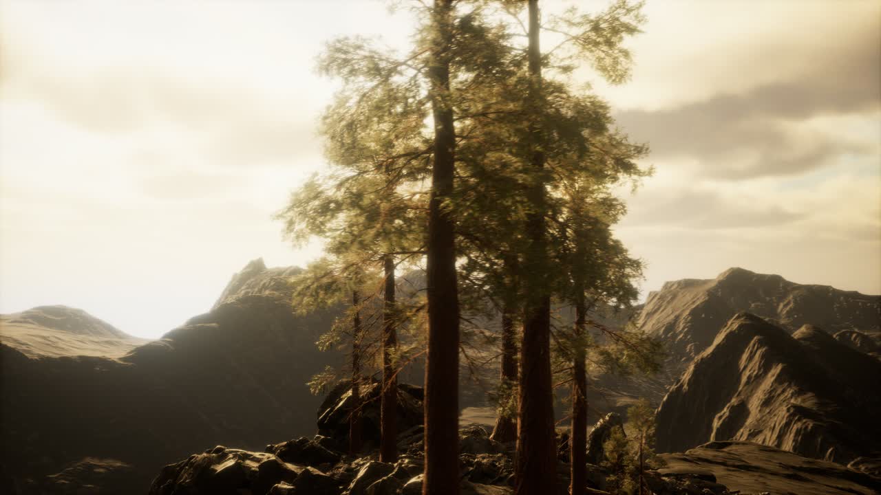 나무 와  ⁇ 빛 이 있는 절벽