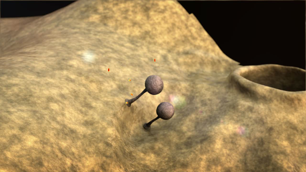 가죽 표면에 있는 이