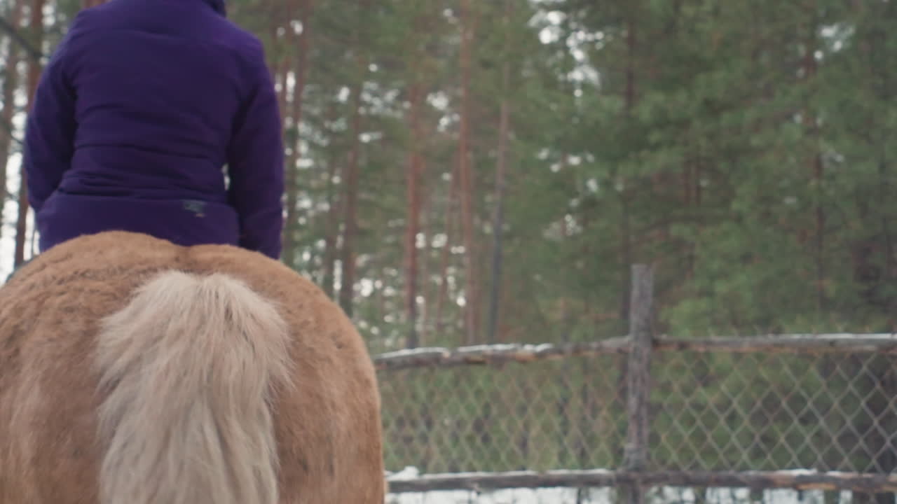 Jinete practicando equitación en condiciones invernales, persona vestida de morado aprendiendo a montar a caballo al aire libre, persona con equipo de camuflaje practicando habilidades de equitación en un recinto nevado.