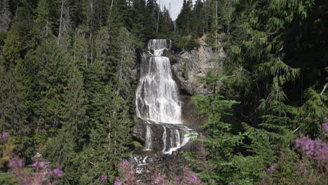 alexander falls, waterfall on madeley creek in british columbia, canada