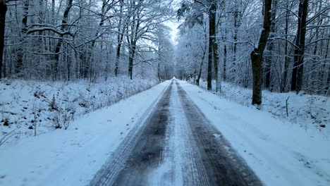 driving car through snow covered road in the middle of an enchanted woodland, pov shot