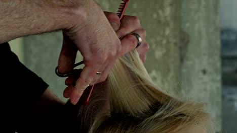 closeup of hairdresser cutting hair