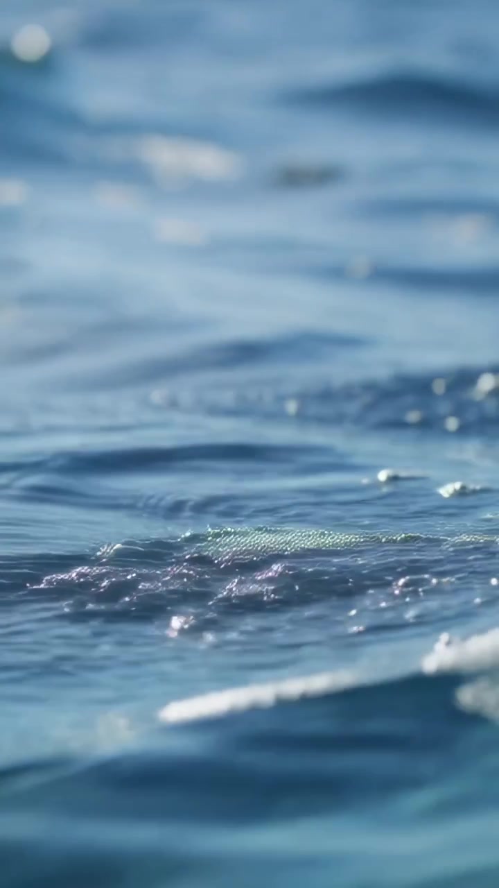 Video verticale: Un'onda che passa spinge la superficie del mare illuminata dal sole, formando una piccola onda con schiuma e spruzzi.
