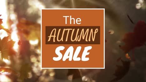 Digitally-generated-video-of-autumn-sale-4k