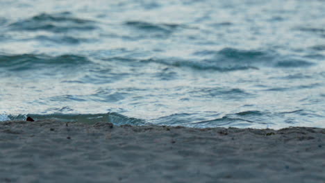 Ein-Ruhiger-Blick-Auf-Das-Meer-Vom-Strand-Aus-Mit-Kleinen-Wellen,-Die-In-Zeitlupe-Rollen