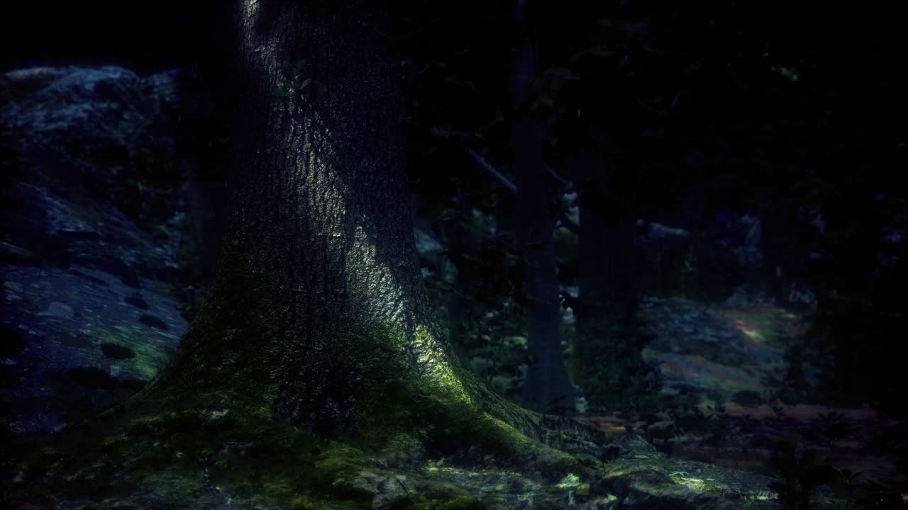 Vibrant tree trunk illuminated by soft light in a dark forest at night