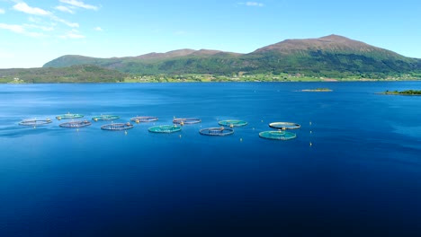 aerial footage farm salmon fishing in norway