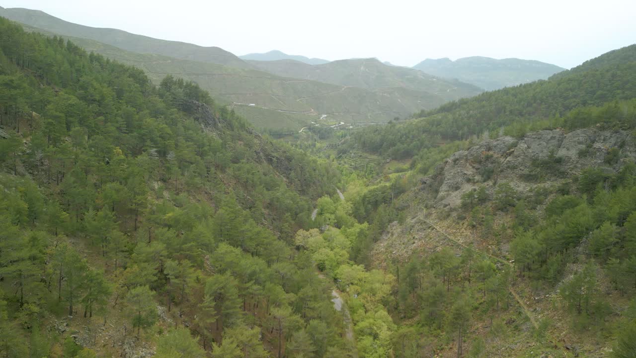 verde bosque exuberante sobre las montañas cerca del cañón de sapadere en alanya, turquía