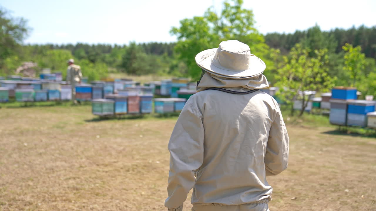 Man in light protective clothes and hat walks to a bee farm with wooden bee hives. Other beekeeper works among the hives at backdrop in blur. Forest at background.