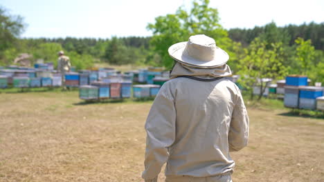 man in light protective clothes and hat walks to a bee farm with wooden bee hives. other beekeeper works among the hives at backdrop in blur. forest at background.