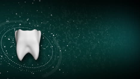 green medical dental background with 3d tooth. technical animation of particles and hud element. looped motion graphics.