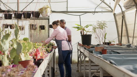 diverse gardeners in aprons tending to plants in greenhouse, discussing care techniques